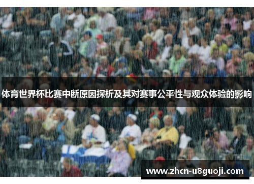 体育世界杯比赛中断原因探析及其对赛事公平性与观众体验的影响